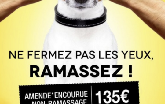 Amende pour non ramassage crotte de chiens