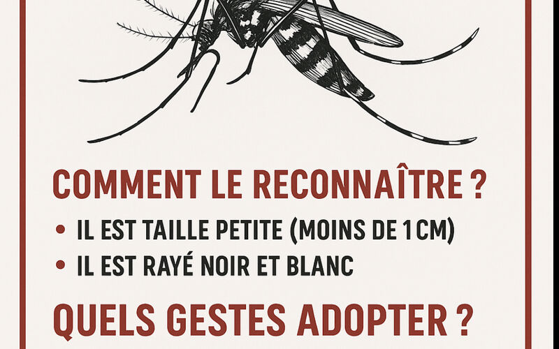 Accueil - Dagneux